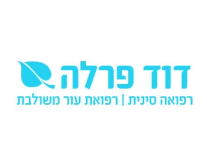 logo - דוד פרלה